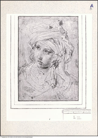 Vorderseite von bh348822_recto