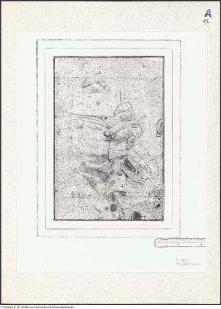 Vorderseite von bh348823_recto