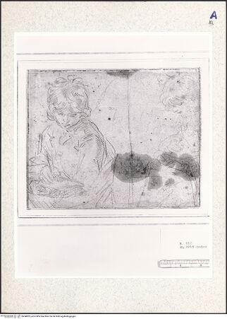 Vorderseite von bh348825_recto