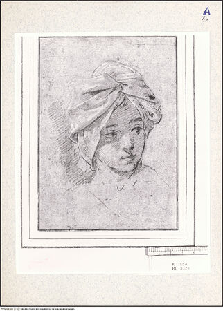 Vorderseite von bh348827_recto