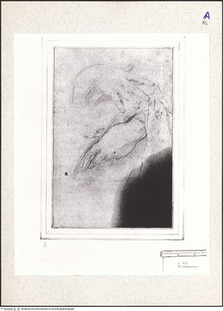 Vorderseite von bh348828_recto