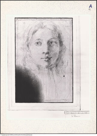 Vorderseite von bh348829_recto