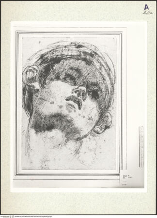 Vorderseite von bh348970_recto