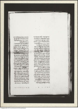 Vorderseite von bh349153_recto