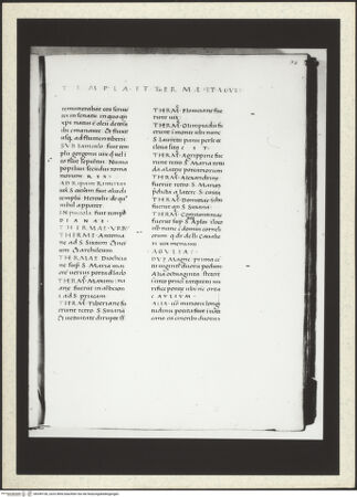 Vorderseite von bh349156_recto