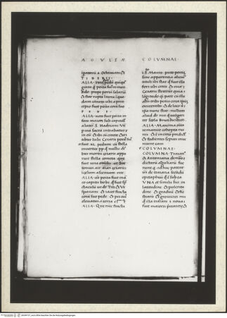 Vorderseite von bh349157_recto