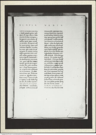 Vorderseite von bh349173_recto