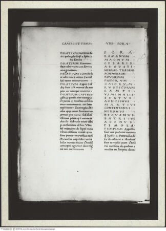 Vorderseite von bh349182_recto