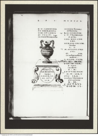 Vorderseite von bh349212_recto