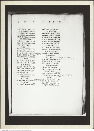 Vorderseite von bh349219_recto