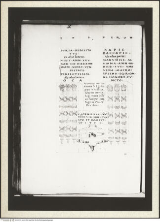 Vorderseite von bh349232_recto