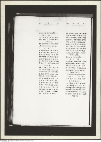 Vorderseite von bh349252_recto