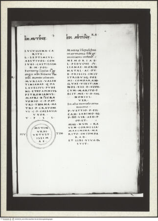 Vorderseite von bh349253_recto