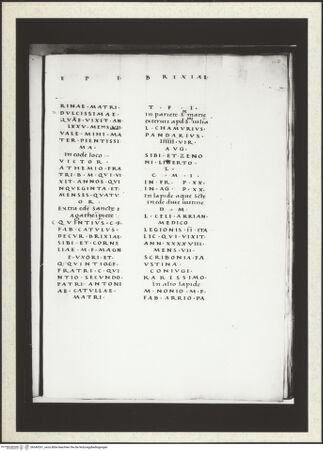 Vorderseite von bh349261_recto