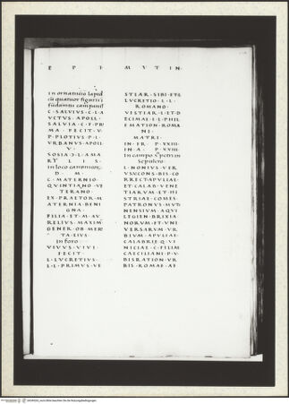 Vorderseite von bh349263_recto