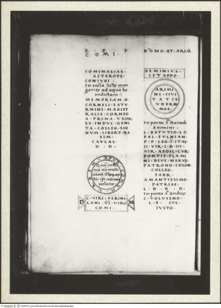 Vorderseite von bh349274_recto