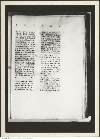 Vorderseite von bh349275_recto