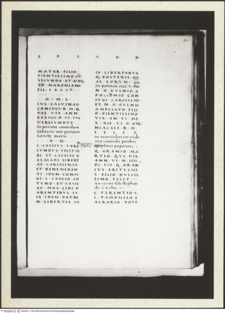 Vorderseite von bh349277_recto