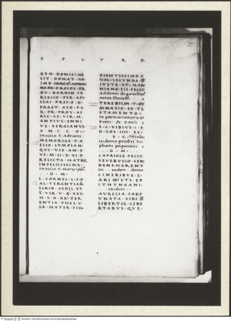 Vorderseite von bh349281_recto