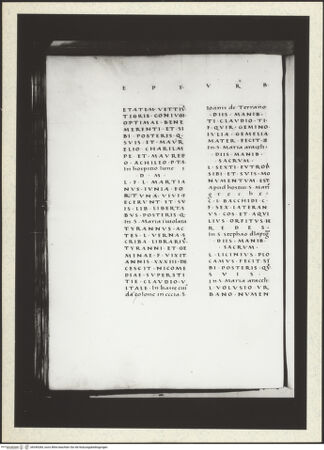 Vorderseite von bh349284_recto