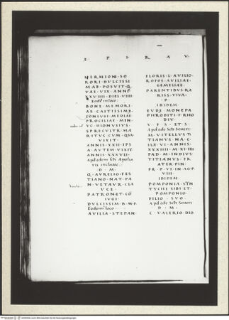 Vorderseite von bh349306_recto