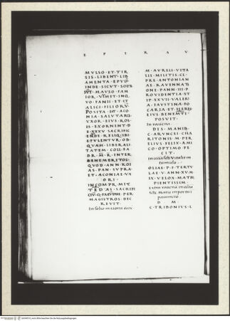 Vorderseite von bh349310_recto