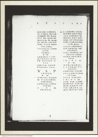 Vorderseite von bh349324_recto