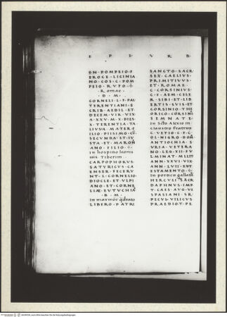 Vorderseite von bh349336_recto