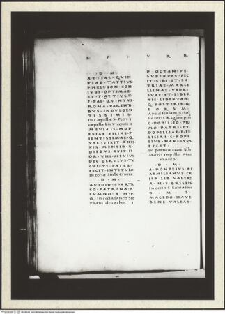 Vorderseite von bh349340_recto