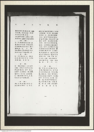 Vorderseite von bh349343_recto