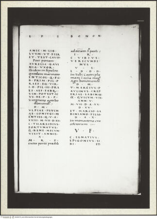 Vorderseite von bh349375_recto