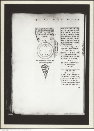 Vorderseite von bh349376_recto