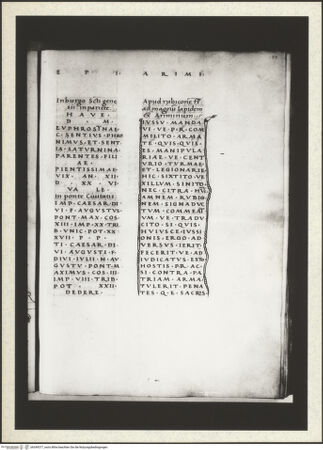 Vorderseite von bh349377_recto