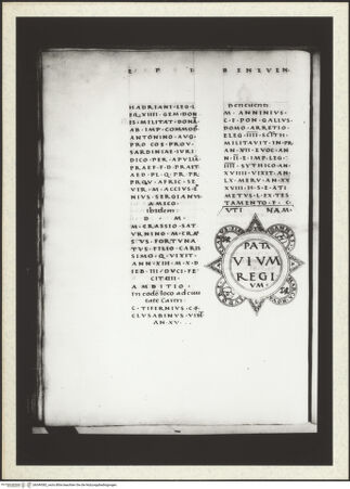 Vorderseite von bh349382_recto