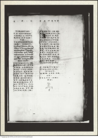 Vorderseite von bh349395_recto