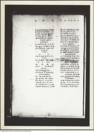 Vorderseite von bh349396_recto