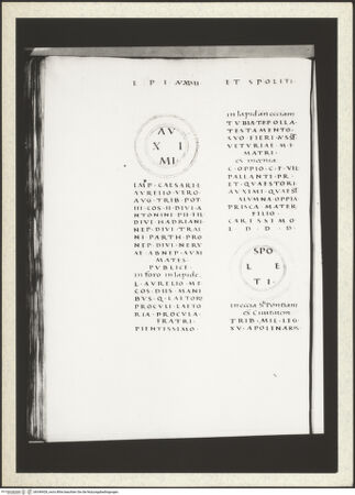 Vorderseite von bh349428_recto