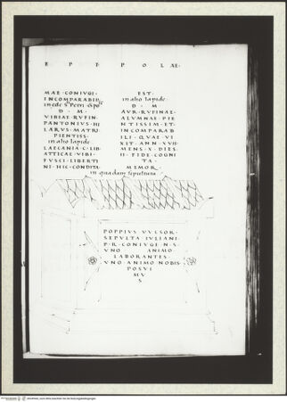 Vorderseite von bh349443_recto