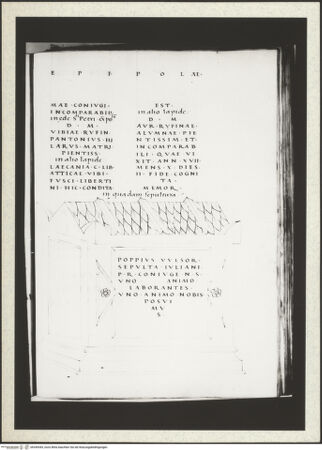 Vorderseite von bh349445_recto