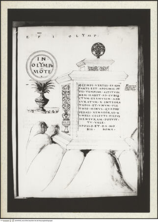 Vorderseite von bh349455_recto