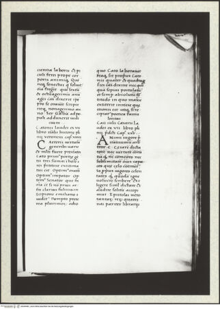 Vorderseite von bh349481_recto