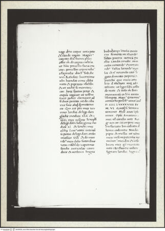 Vorderseite von bh349526_recto