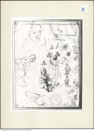 Vorderseite von bh349640_recto