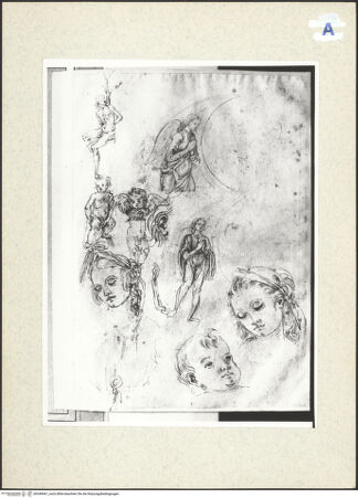 Vorderseite von bh349641_recto