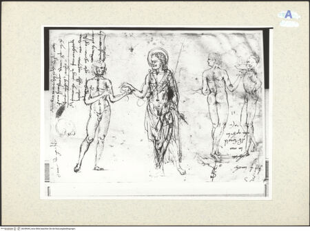 Vorderseite von bh349644_recto