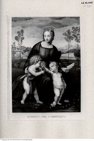 Vorderseite von Veste Coburg [http://creativecommons.org/publicdomain/mark/1.0/] Madonna mit dem Stieglitz - , bh349936. Foto.