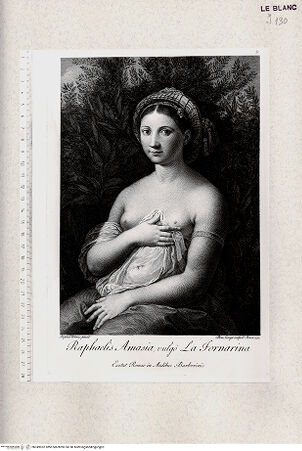 Vorderseite von Veste Coburg [http://creativecommons.org/publicdomain/mark/1.0/] La Fornarina - , bh349952. Foto.