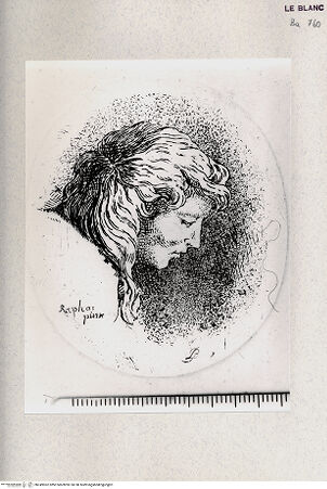 Vorderseite von Veste Coburg [http://creativecommons.org/publicdomain/mark/1.0/] Kopf des knienden "Schülers des Archimedes" (Euklid); Details aus der "Schule von Athen" - , bh349962. Foto.