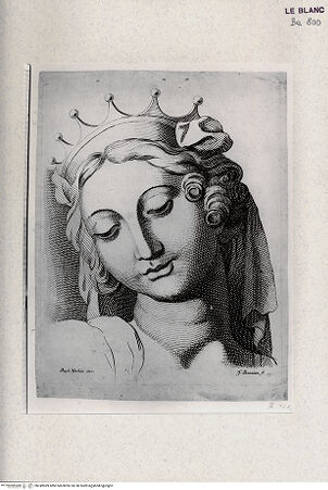 Vorderseite von Veste Coburg [http://creativecommons.org/publicdomain/mark/1.0/] Kopf der Jurisprudenz (Detail aus den Deckenbildern der Stanza della Segnatura) - , bh349989. Foto.