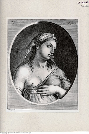 Vorderseite von Veste Coburg [http://creativecommons.org/publicdomain/mark/1.0/] Die Sanftmut (Ausschnitt) - , bh350040. Foto.